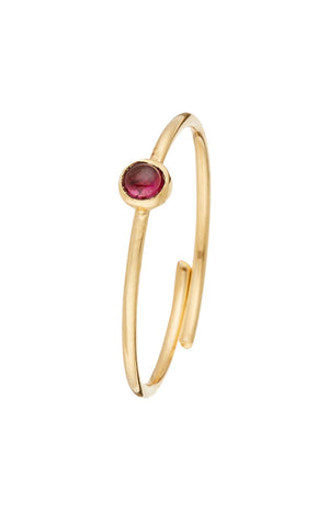 Bague ajustable Point - Laiton doré & grenat rouge