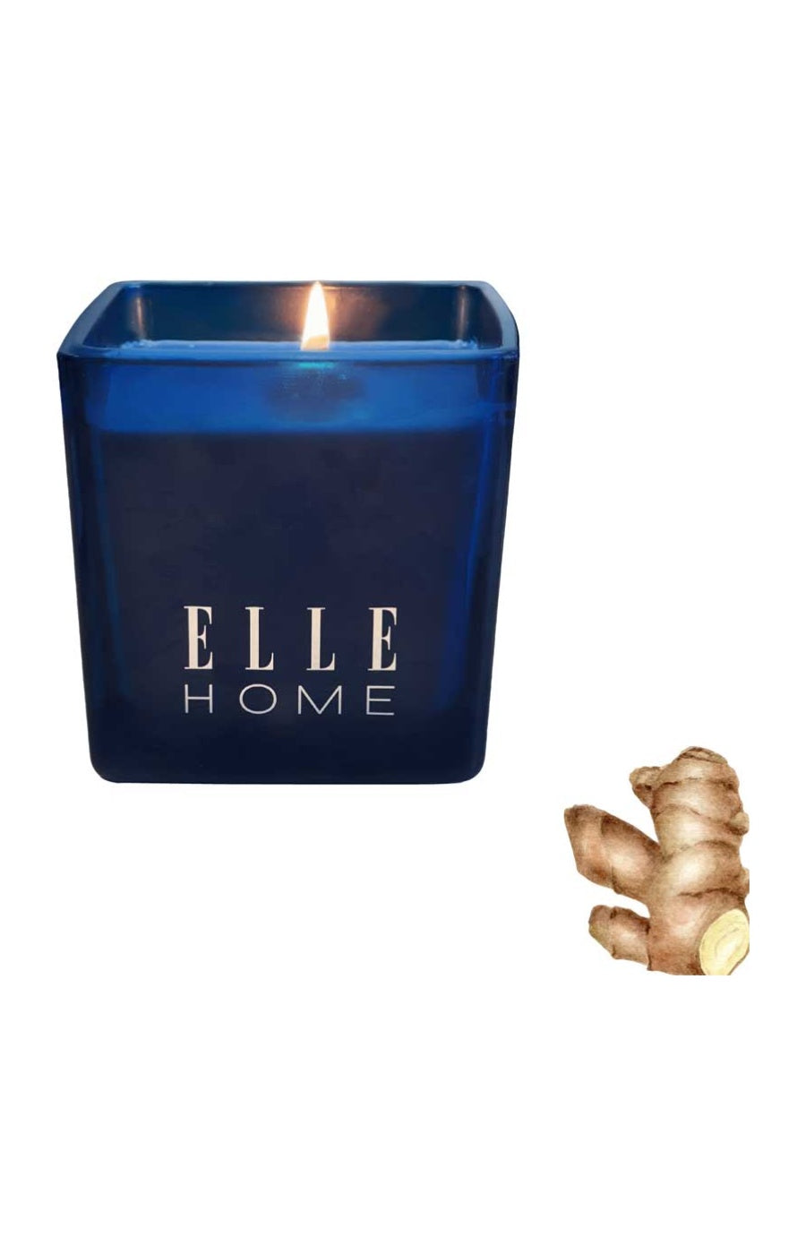 Bougie parfumée - Wood & Ginger - Hespéridé - 215 g