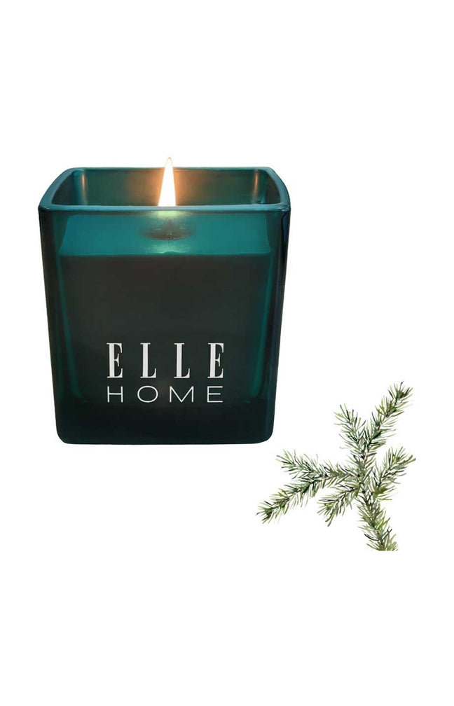Bougie parfumée - Sapin - Hespéridé boisé - 215 g