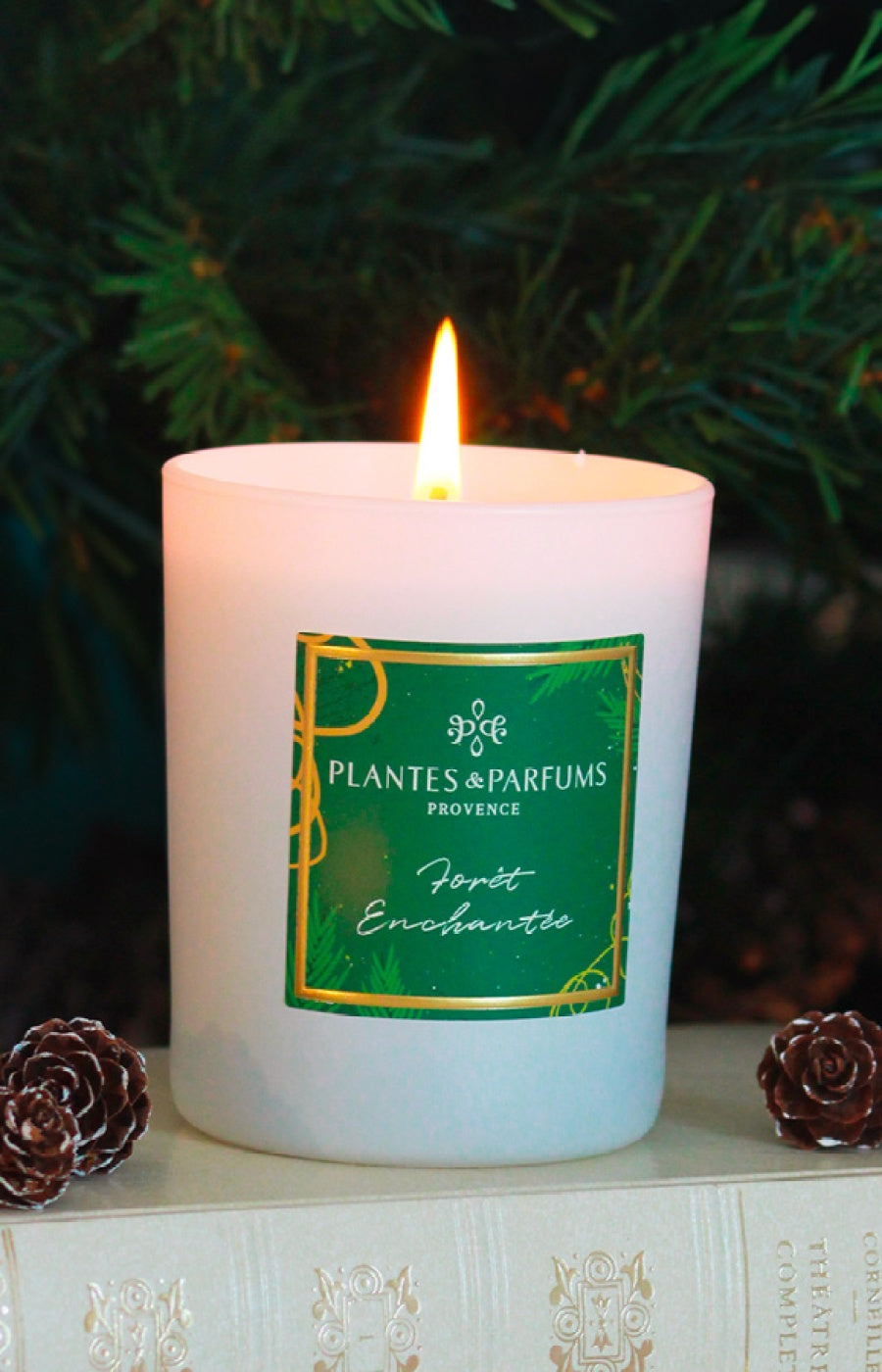 Bougie végétale parfumée - Forêt enchantée - Boisé - 180 g