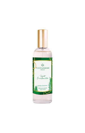 Parfum d'intérieur - Forêt enchantée - Boisé - 100 ml