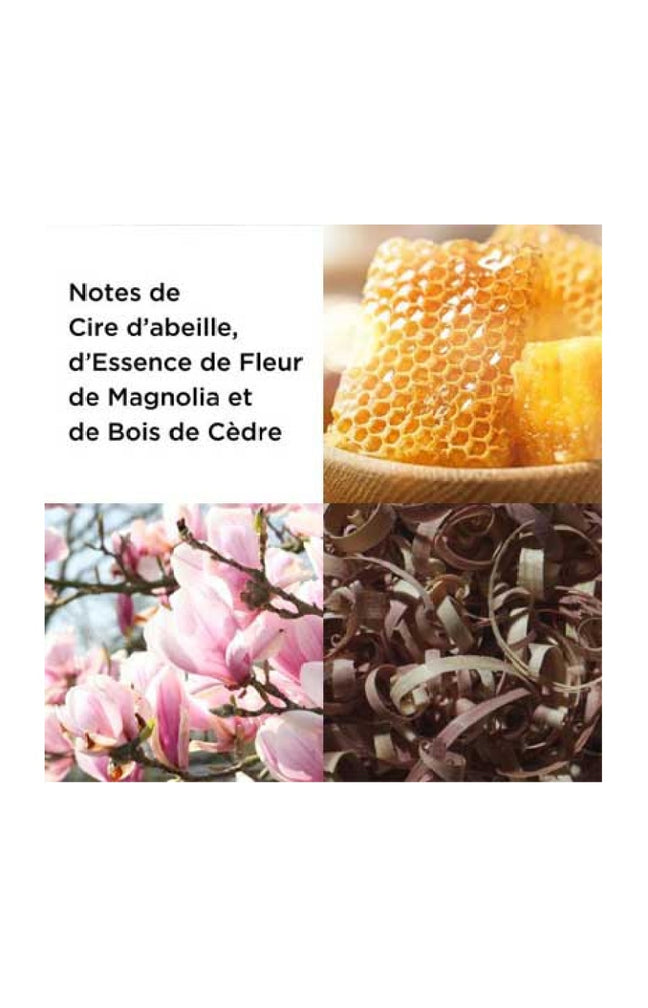 Sunflowers HoneyDaze Eau de toilette - Floral fruité