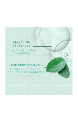 Shampoing detox - Thé vert & aloe vera bio - 250 ml