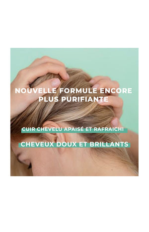 Shampoing detox - Thé vert & aloe vera bio - 250 ml