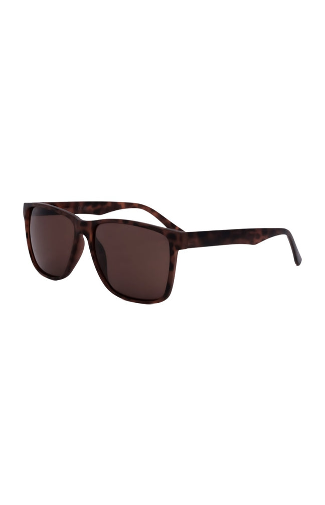 Calvin Klein - Lunettes de soleil - Catégorie 3 - Homme-Marron