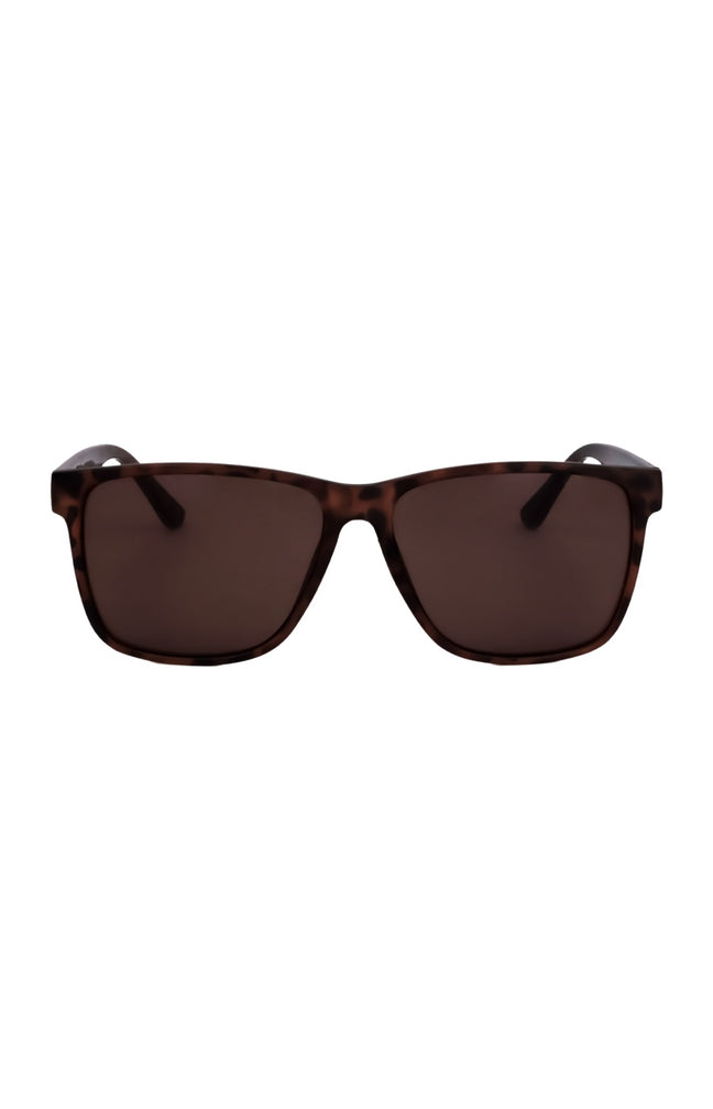Calvin Klein - Lunettes de soleil - Catégorie 3 - Homme-Marron