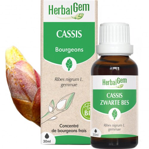 Bourgeons de Cassis - Articulations et allergies - 30 ml
