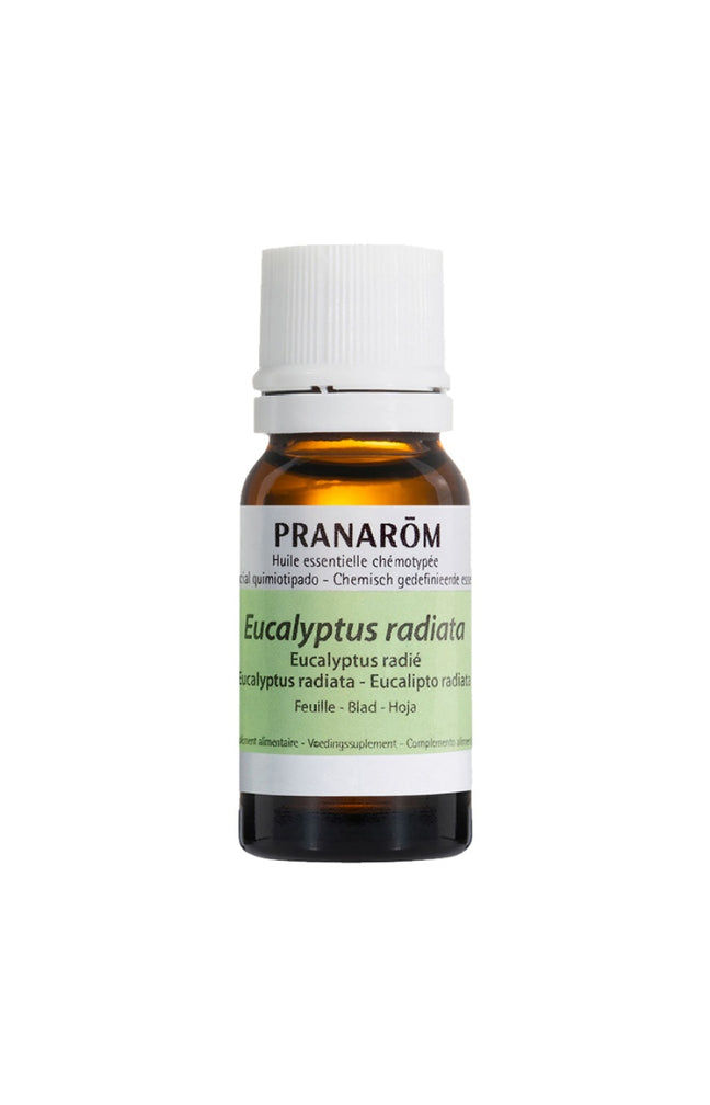 Huile essentielle bio - Eucalyptus radié - 10 ml