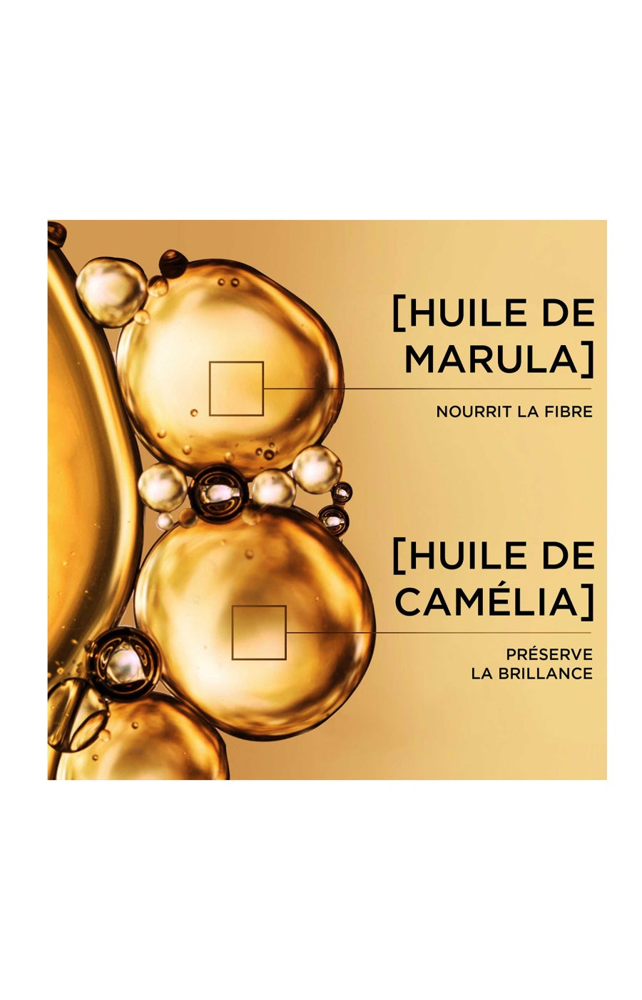 Shampoing nutrition intense - Marula & camélia - Cheveux secs - 250 ml