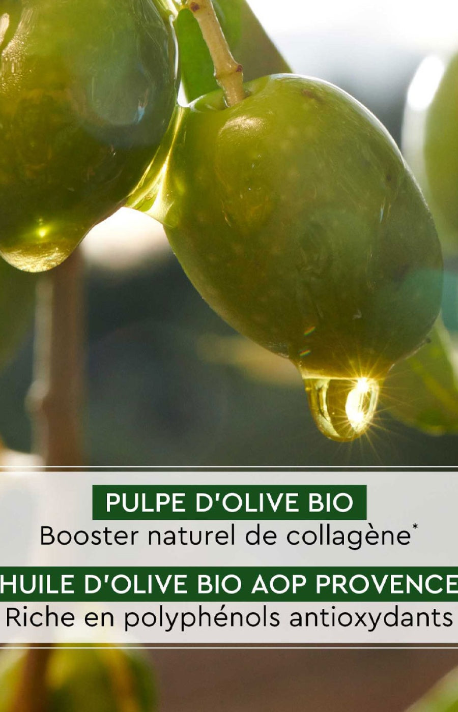 Baume redensifiant de nuit - Huile d'olive bio - Visage - 50 ml