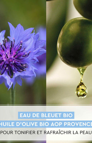 Gel-crème radieux 24h - Huile d'olive bio & extrait de bleuet - Peaux normales à mixtes - 50 ml