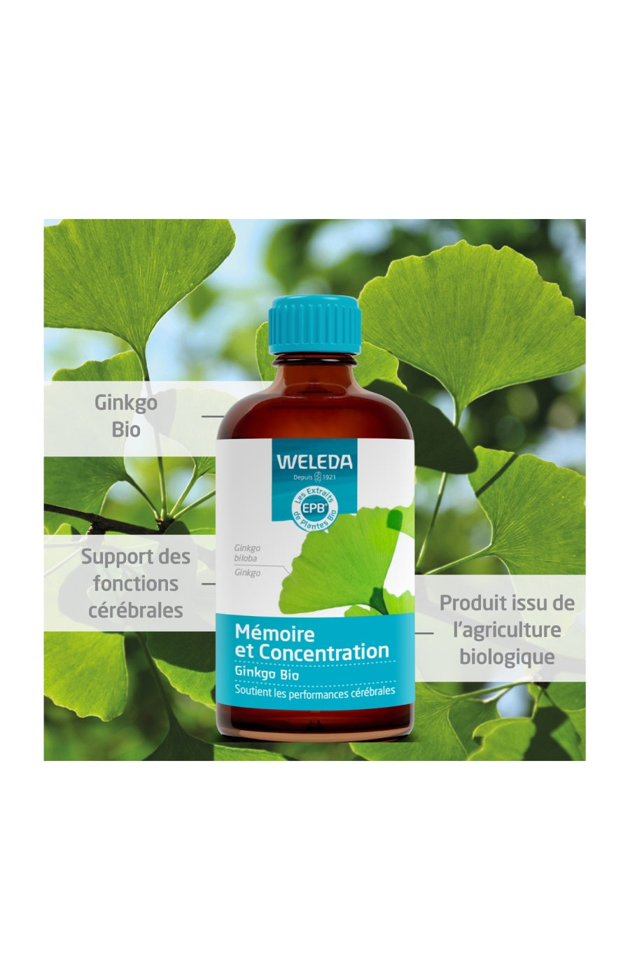 EPB® Ginkgo bio - Mémoire & concentration - 100 ml