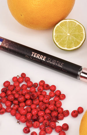 Terre Subtile Eau de parfum - Floral - Homme