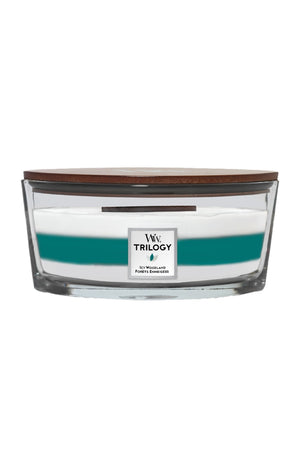 Bougie ellipse - Forêt enneigée - 454 g