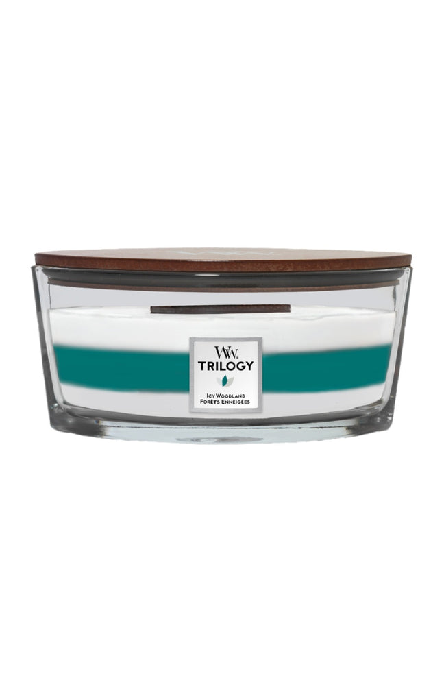 Bougie ellipse - Forêt enneigée - 454 g