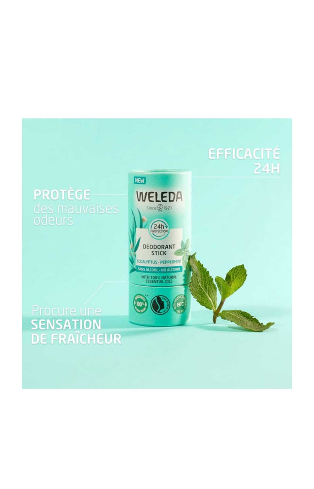 Déodorants stick - Eucalyptus & peppermint - 2 x 50 g