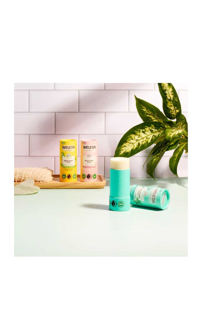 Déodorants stick - Sensitive - 2 x 50 g