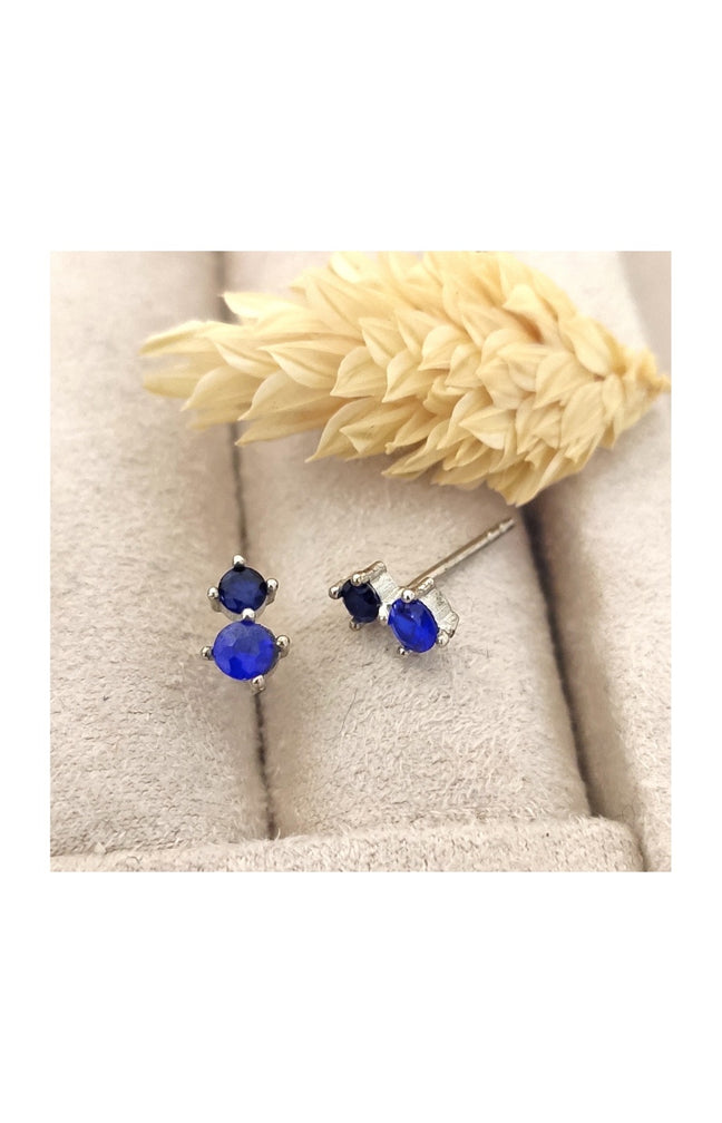 Boucles d'oreilles - Argent 925/000 & zircons