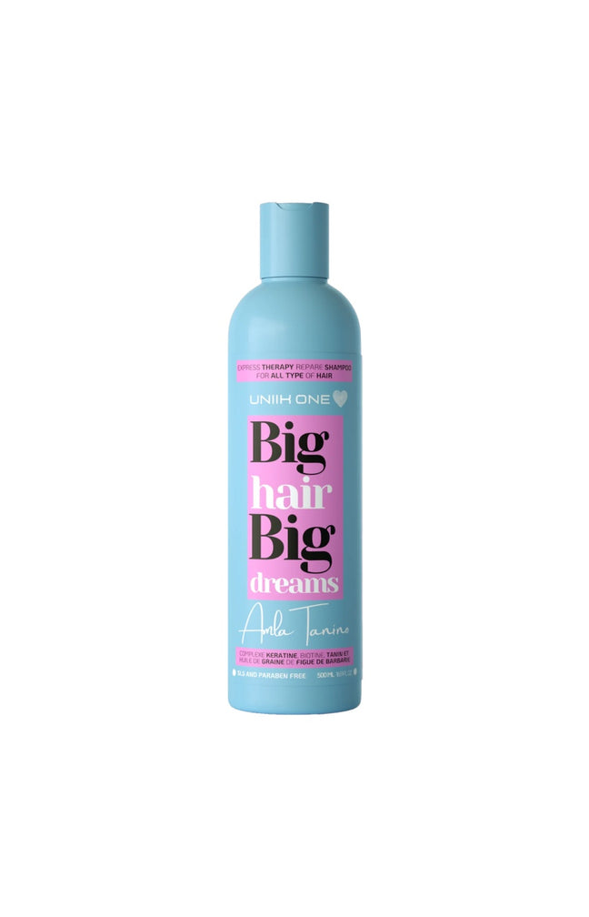 Shampoing protecteur & lissant - Huile d'amla & tanin - Cheveux - 500 ml