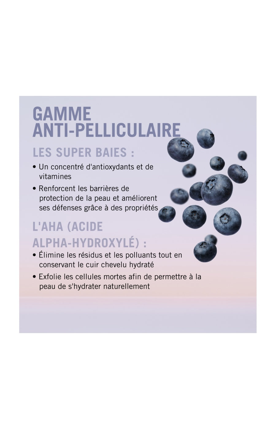 Shampoing anti-pelliculaire - BC Bonacure