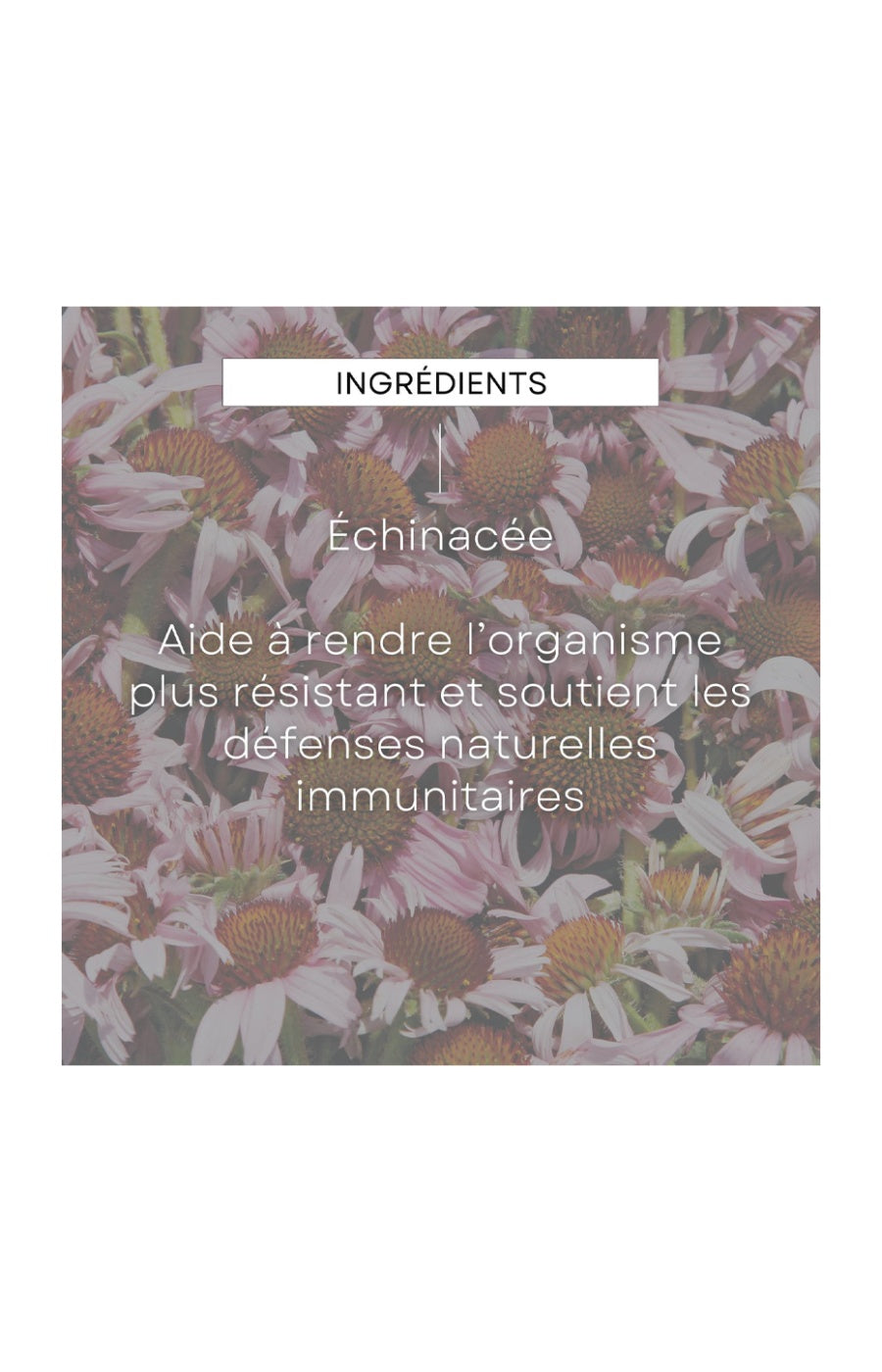 EPB® Echinacée Bio - Immunité - 100 ml