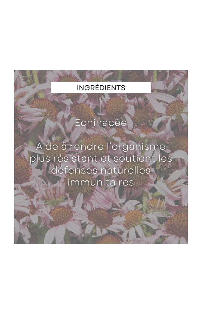 EPB® Echinacée Bio - Immunité - 100 ml