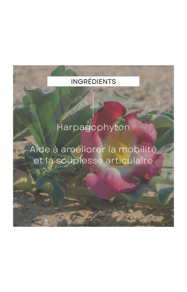 EPB® Harpagophyton Bio - Articulation - 100 ml