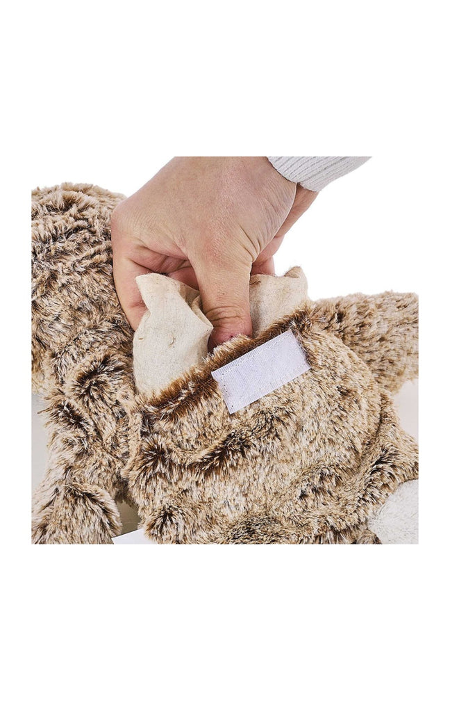 Bouillotte peluche - Koala