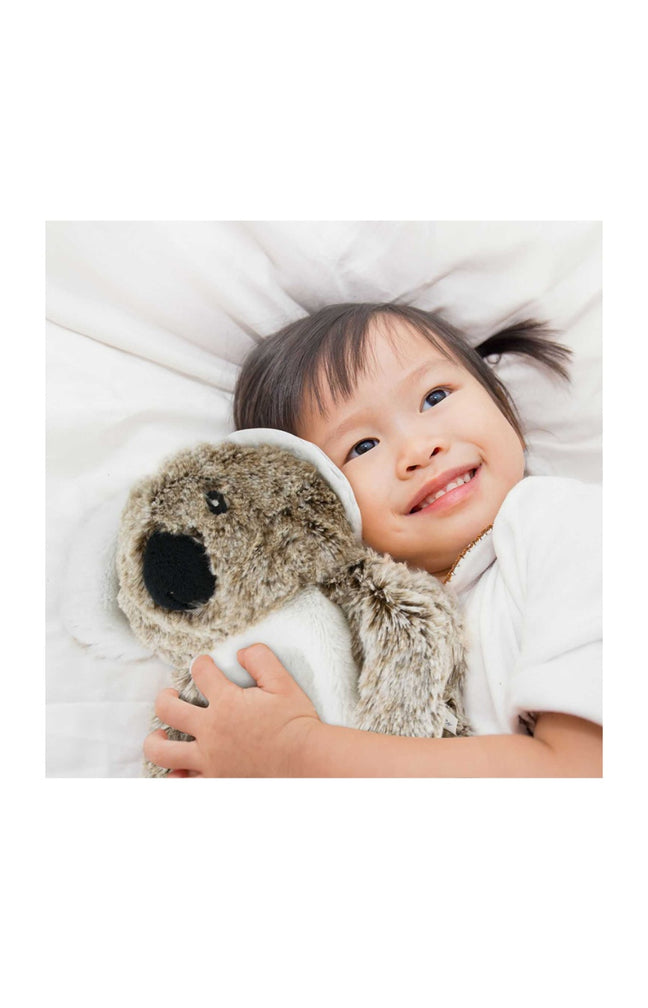 Bouillotte peluche - Koala