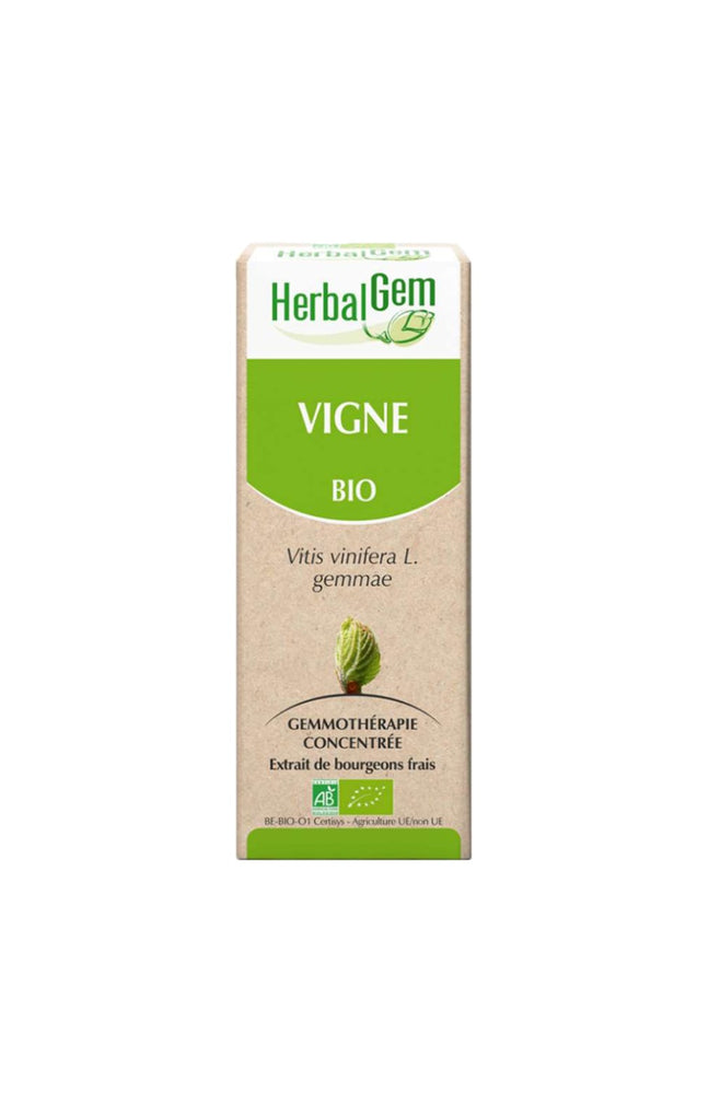Complexe de macérat-mère bio - Vigne - 15 ml