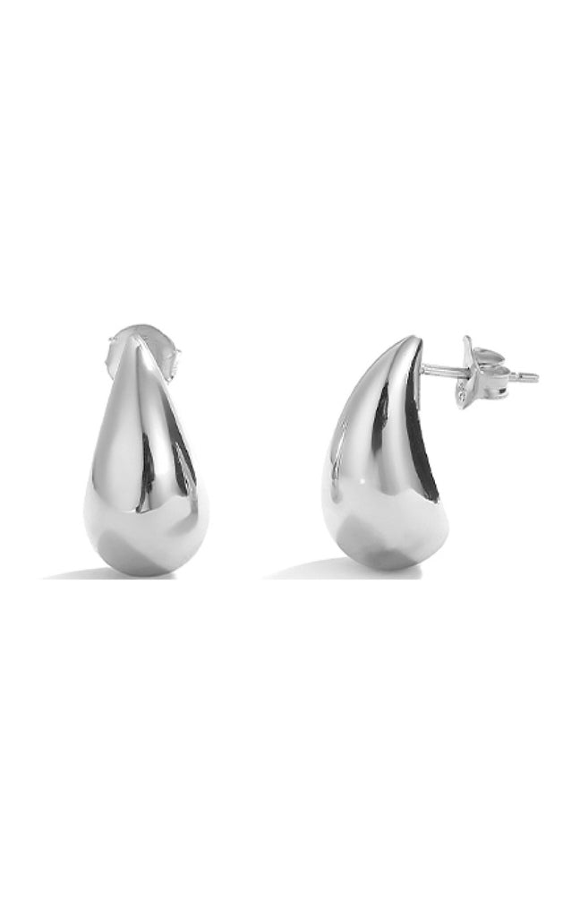 Boucles d'oreilles - Argent 925/000