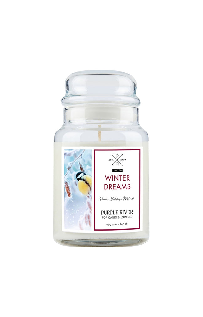 Bougie parfumée - Winter Dreams - Bergamote & pin - 623 g