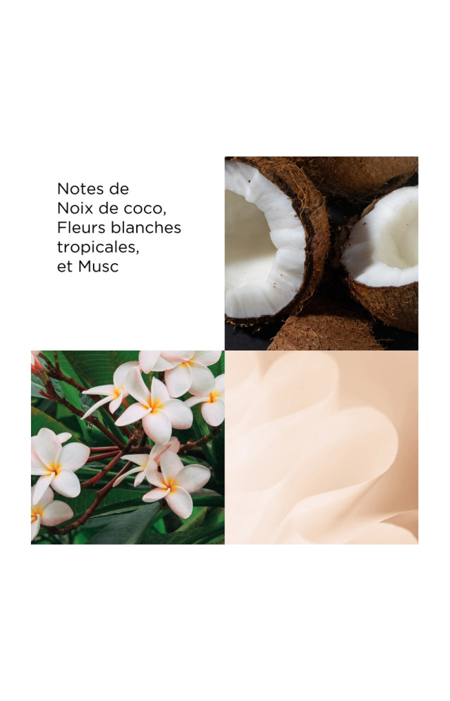 Crème hydratante - Miel & noix de coco - Corps - 500 ml