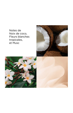 Crème hydratante - Miel & noix de coco - Corps - 500 ml