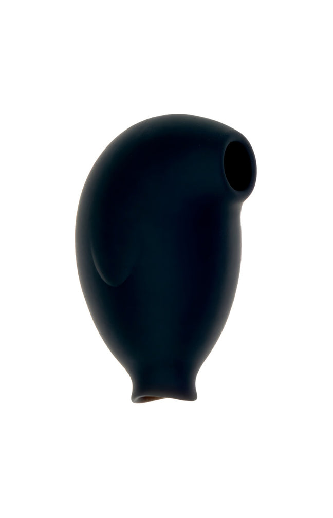 Stimulateur de clitoris - Complice - 11 programmes - Noir