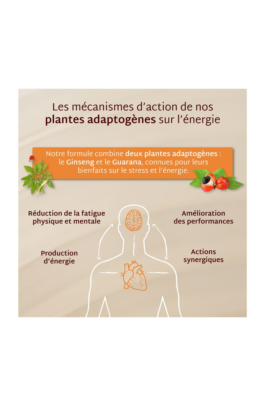 Gummies énergie - Ananas - Sans sucres - 21 jours