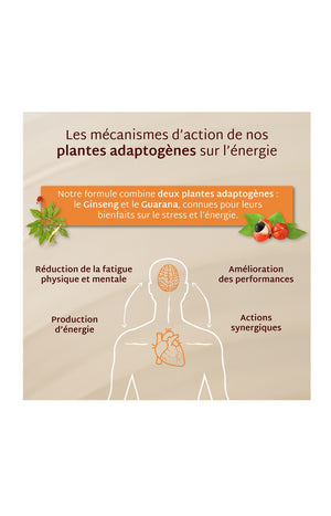 Gummies énergie - Ananas - Sans sucres - 21 jours