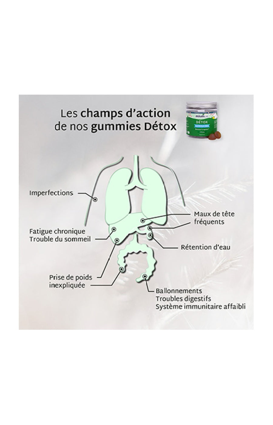 Cure gummies detox - Citron - Sans sucres - 2 mois