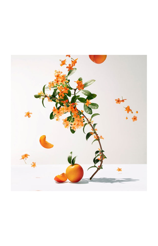 Eau parfumée Fleur d'osmanthus - Floral fruité