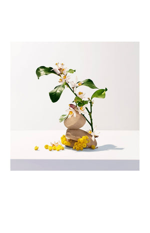 Eau parfumée Néroli - Floral