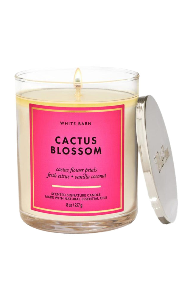 Bougie parfumée - Cactus Blossom - Agrumes & noix de coco - 227 g