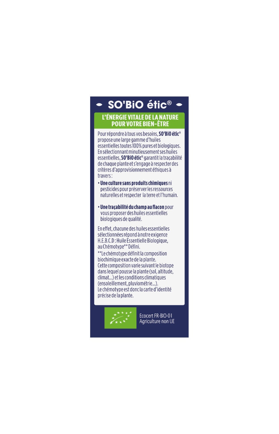 Huile essentielle d'arbre à thé bio - 12 ml