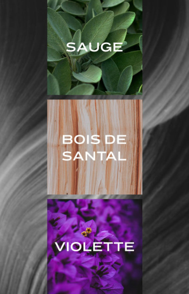 Grey Flannel Eau de toilette - Boisé oriental - Homme