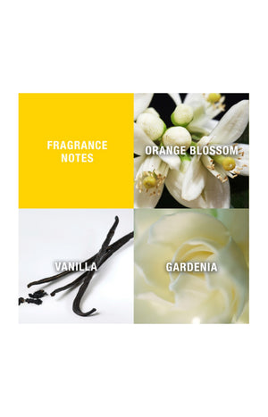 Coffret Giorgio Beverly Hills Eau de Toilette - 90 ml