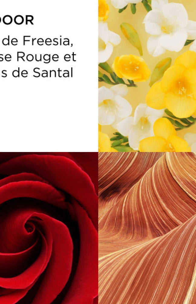 Coffret Red Door Eau de Toilette - 3 produits