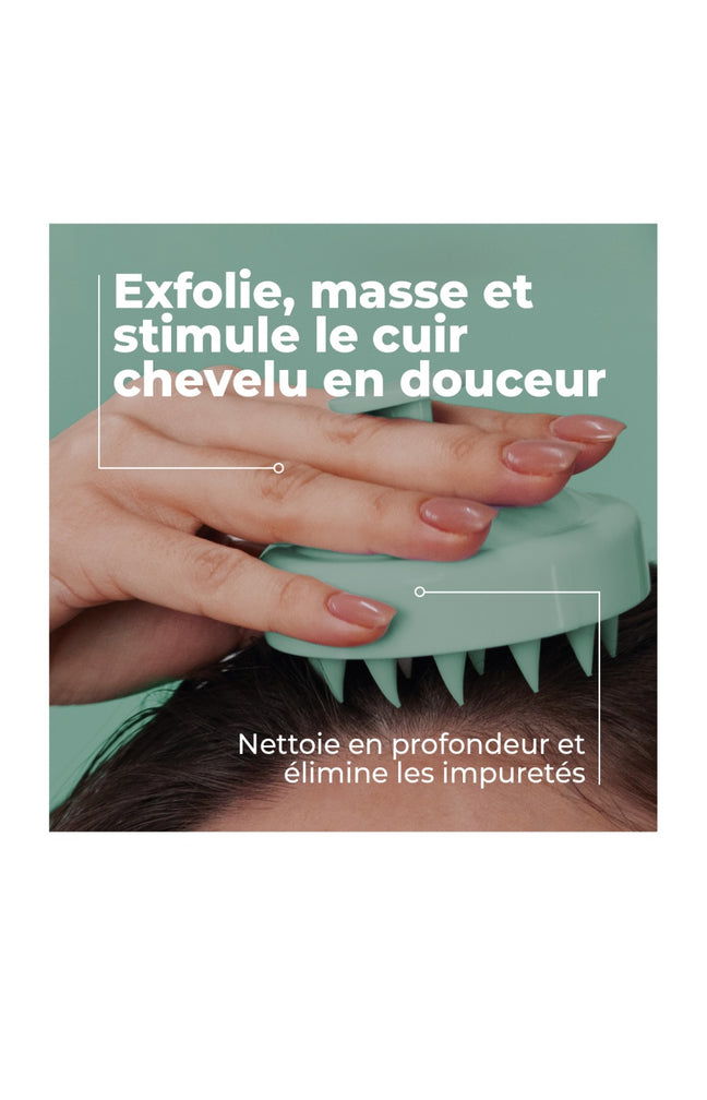 Brosse massante - Cuir chevelu