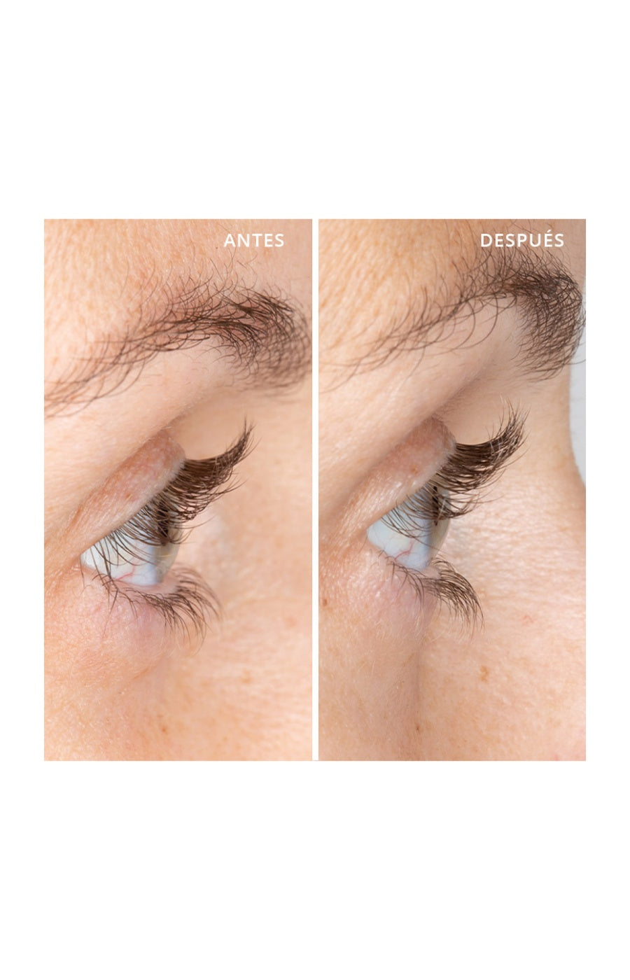 Sérum densité - Cils - 5 ml