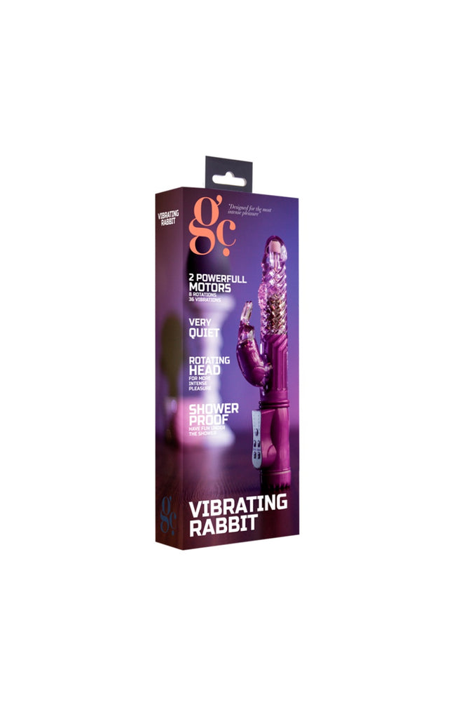 Vibromasseur - Rabbit - 6 modes - Violet