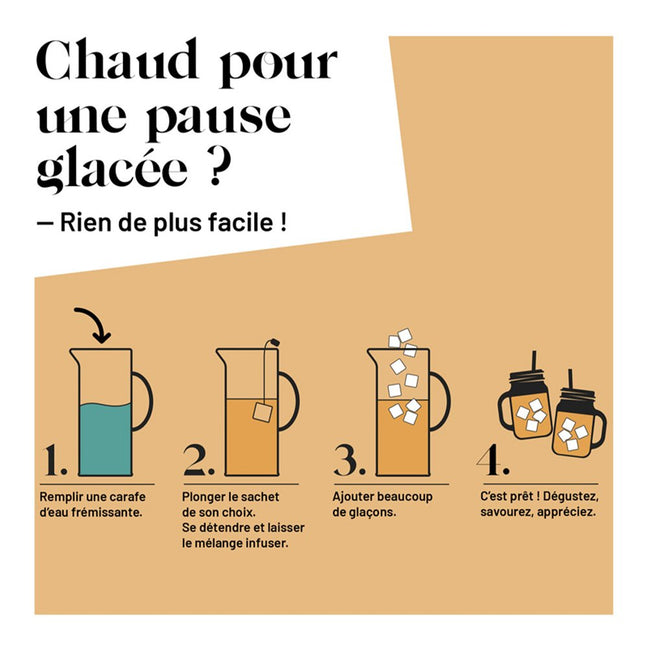 Infusion bio - AquaExotica - 6 sachets