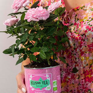 Thé vert bio - Rose - 100 g